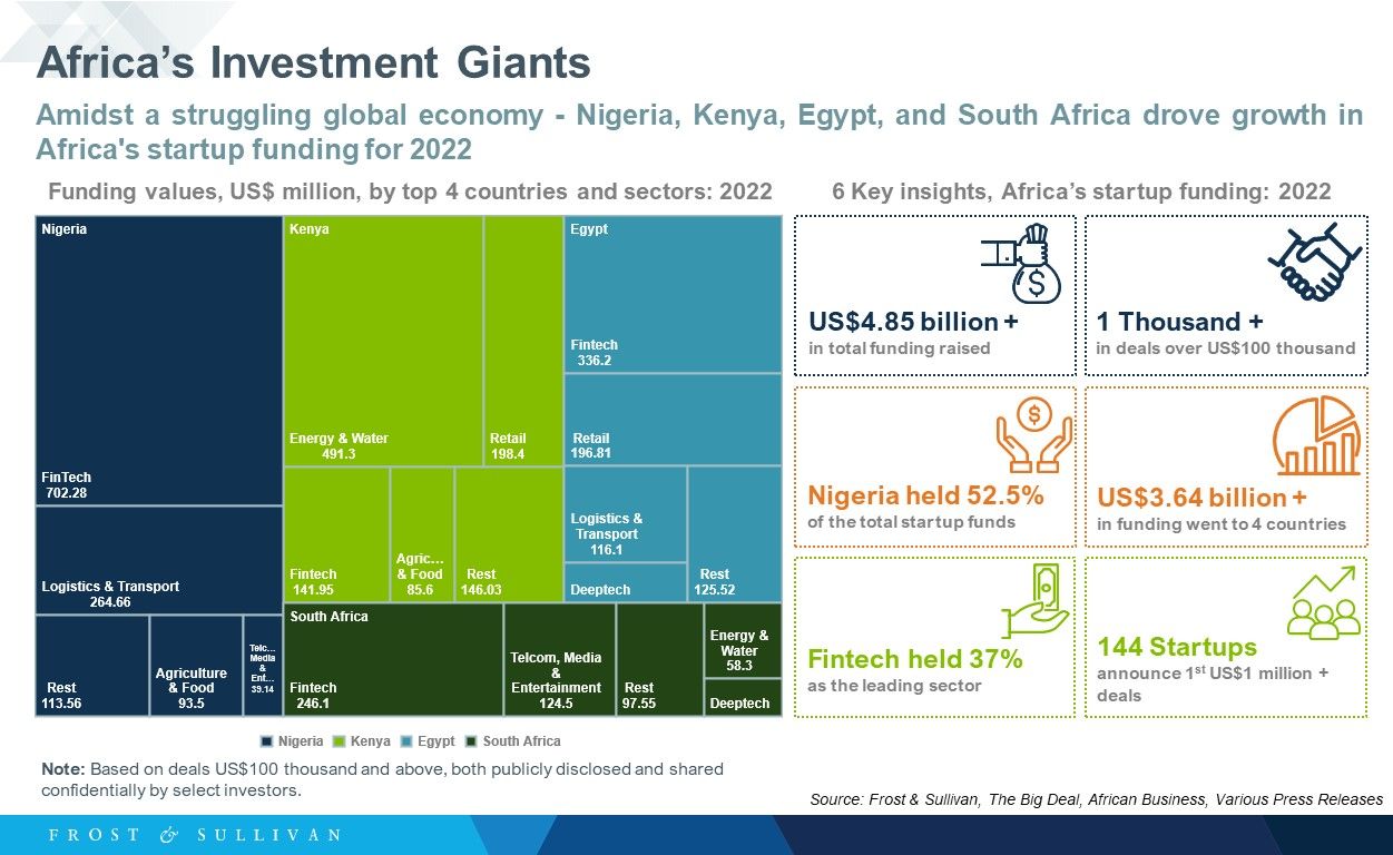 Africa’s Investment Giants