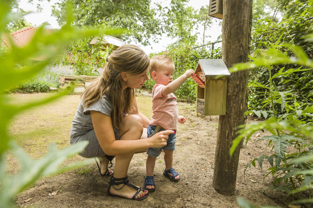 Insectenhotel bij Landal GreenParks
