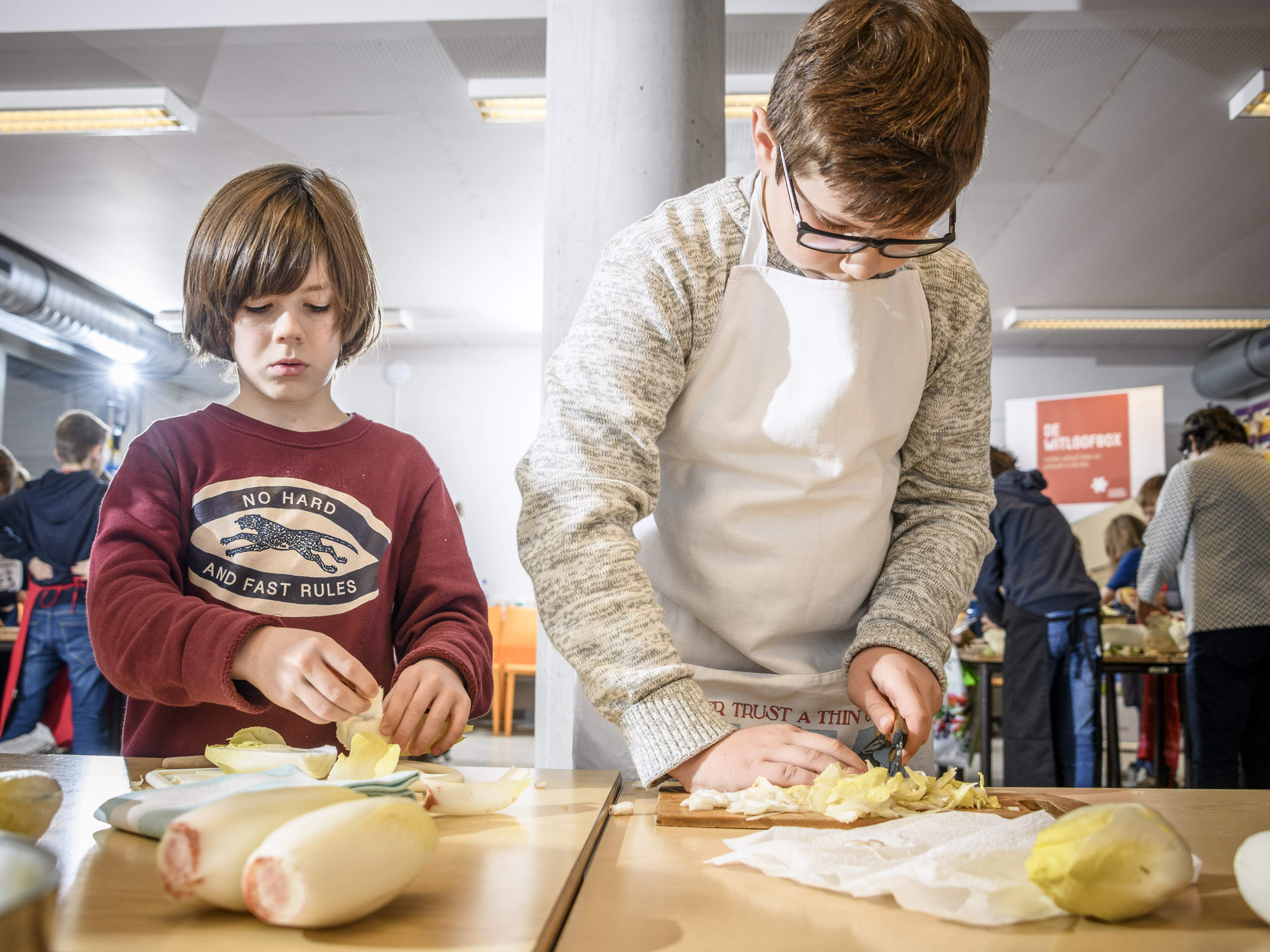 Provincie verdeelt 900 witloofboxen aan scholen 