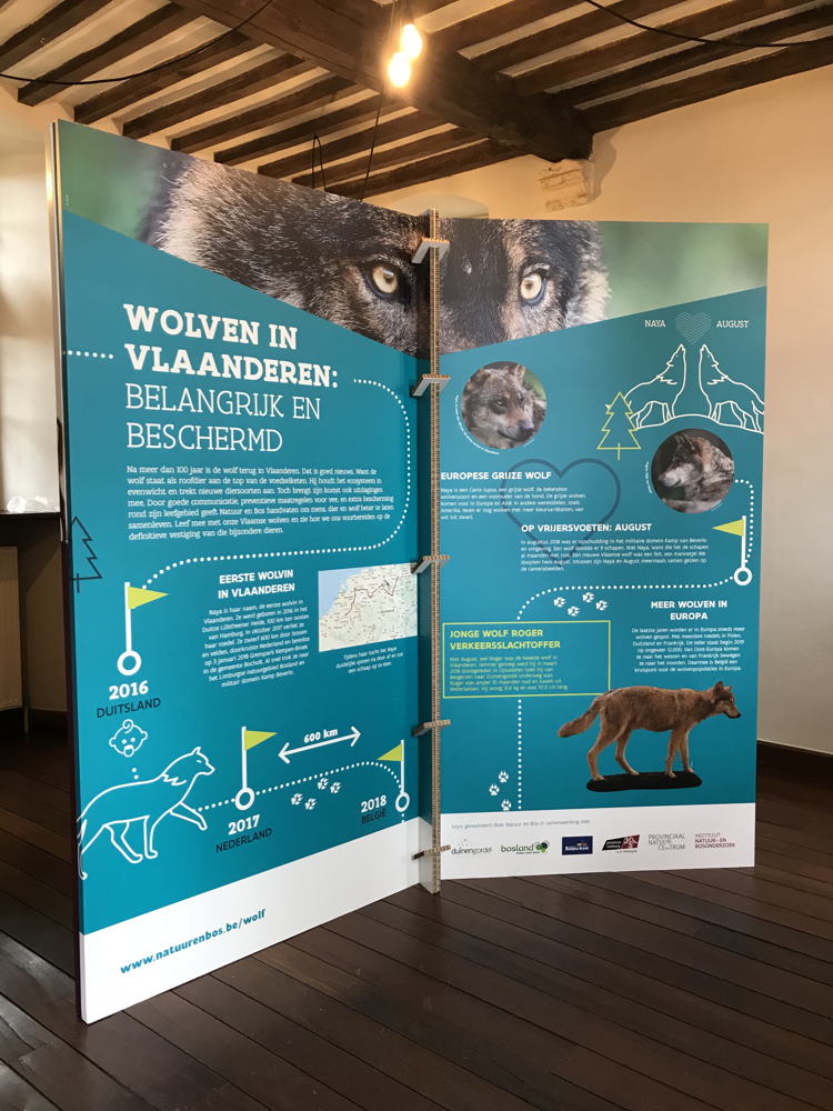 Expo 'Wolven in Limburg'