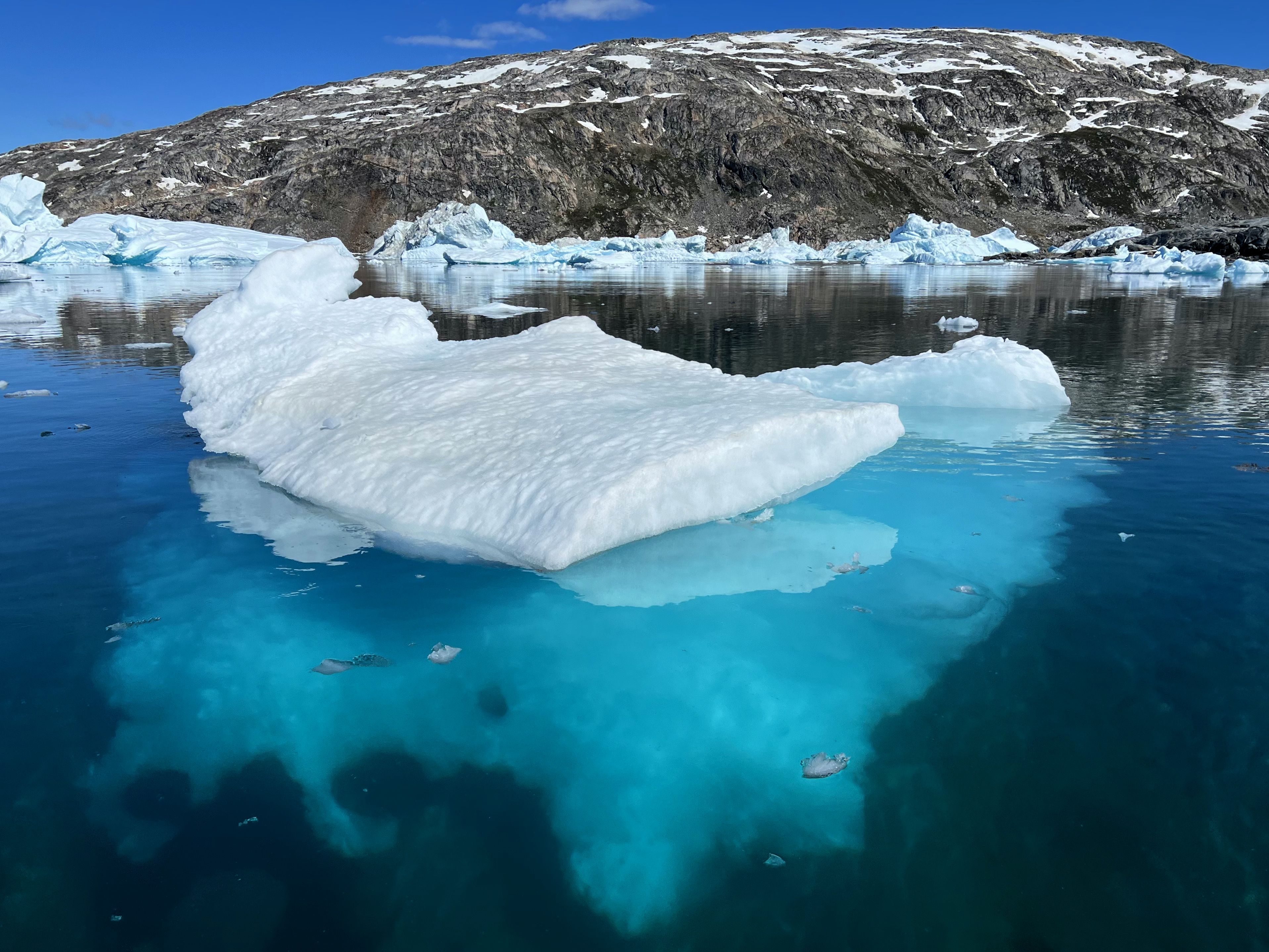Beverly captured the magical underwater world of melting icebergs with some DIY hydrophones ​ ​ (Picture courtesy of Thomas Rex Beverly)