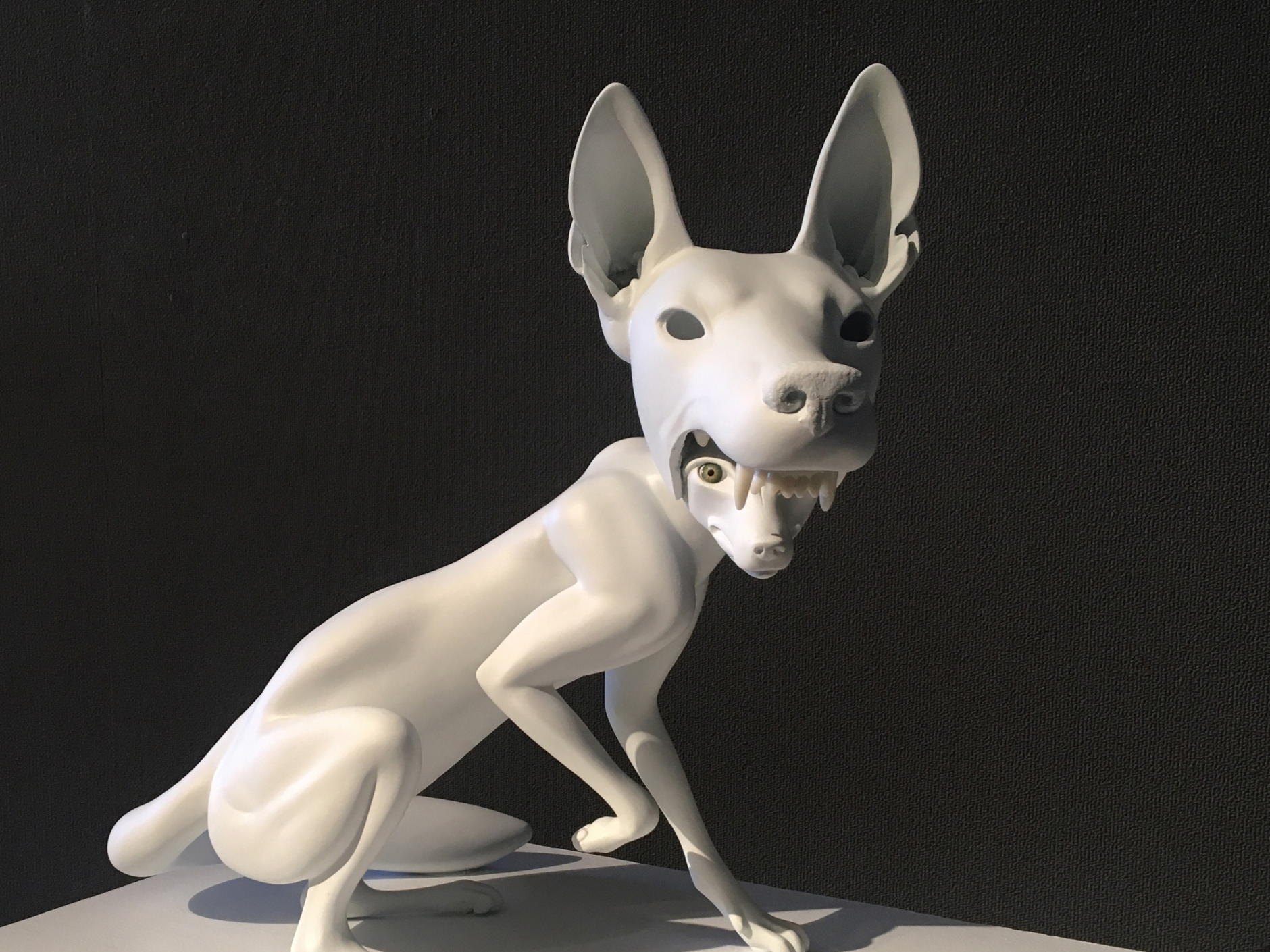 UCO’s Melton Gallery to Host Public Reception for 'Wild Shadows’ Exhibit, Nov. 6