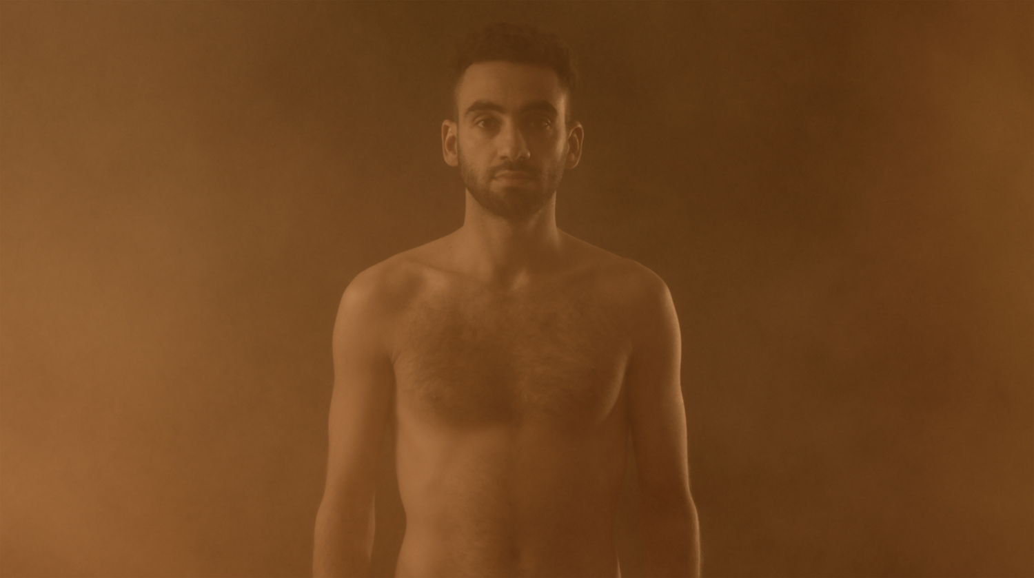 SPICY “TURMERIC, CINNAMON, GINGER, HENNA”, 2015, video installation, Mehdi-Georges Lahlou (2)