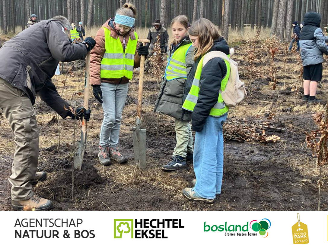 Plantactie in Hechtel-Eksel voor een groener Nationaal Park Bosland