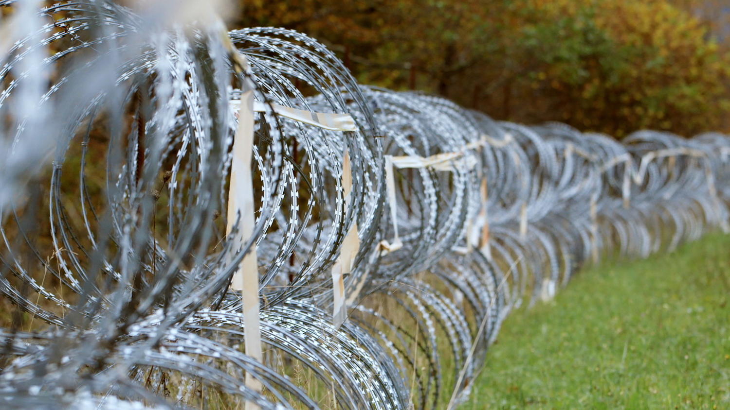 Borderline - The Wire
