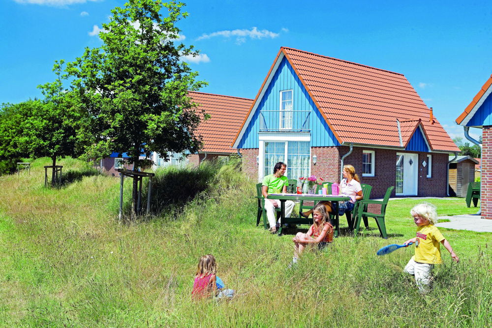 Ferienhaus im Park Landal Dwergter Sand