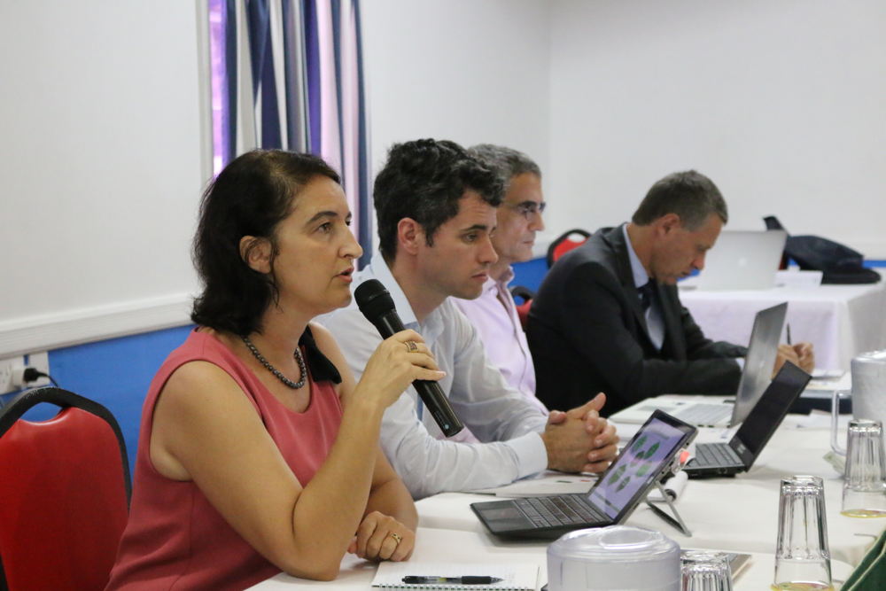 Valérie Denux - Head of the Regional Agency of Guadeloupe, Saint-Martin and Saint-Barthélémy