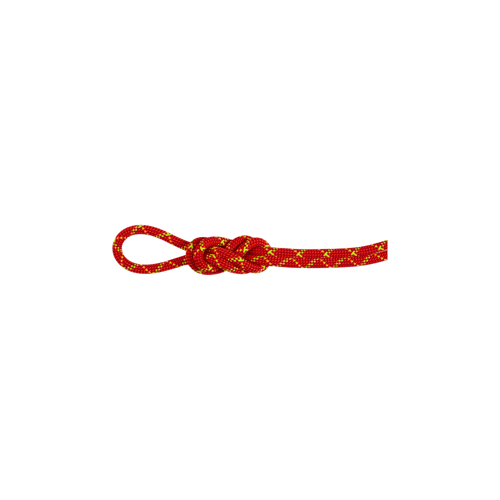 8.0 Alpine Core Protect Dry Rope