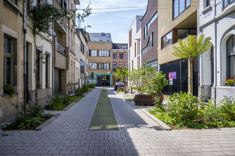 Tuinstraat Regentstraat © Frederik Beyens