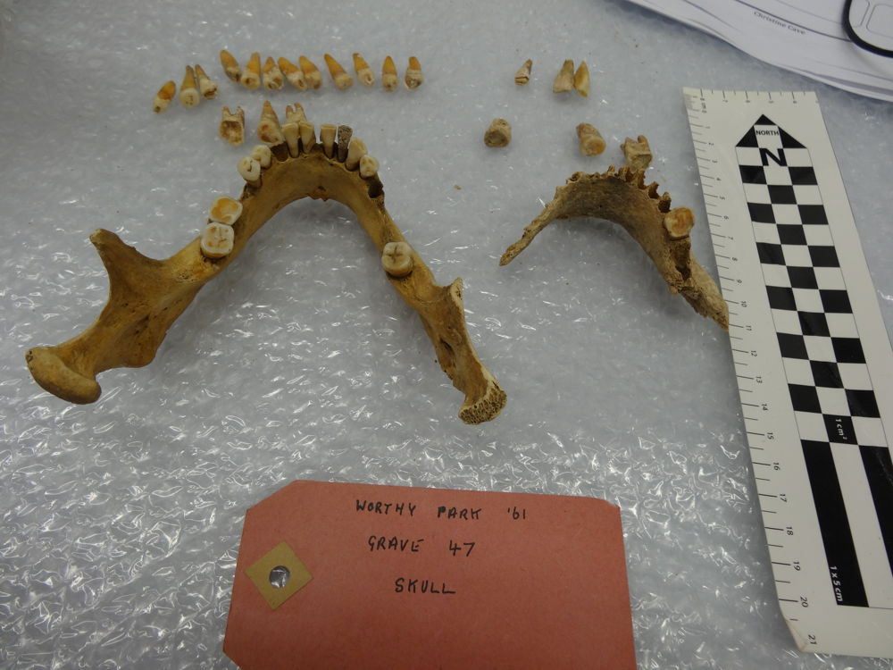 Skeletal remains from Christine Cave's study. Image: ANU.