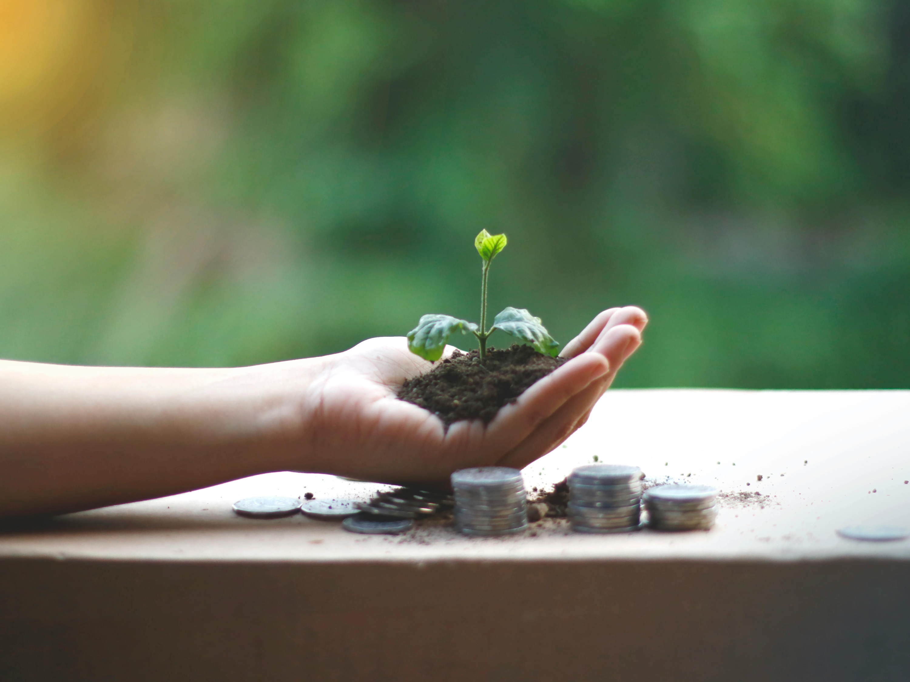 Sustentabilidad silenciosa: las marcas que hacen sin decir (y ganan reputación real) 