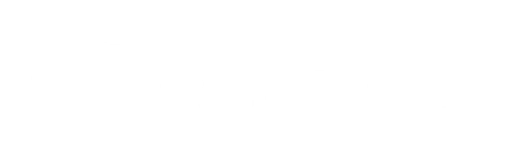 logo--shopify.png