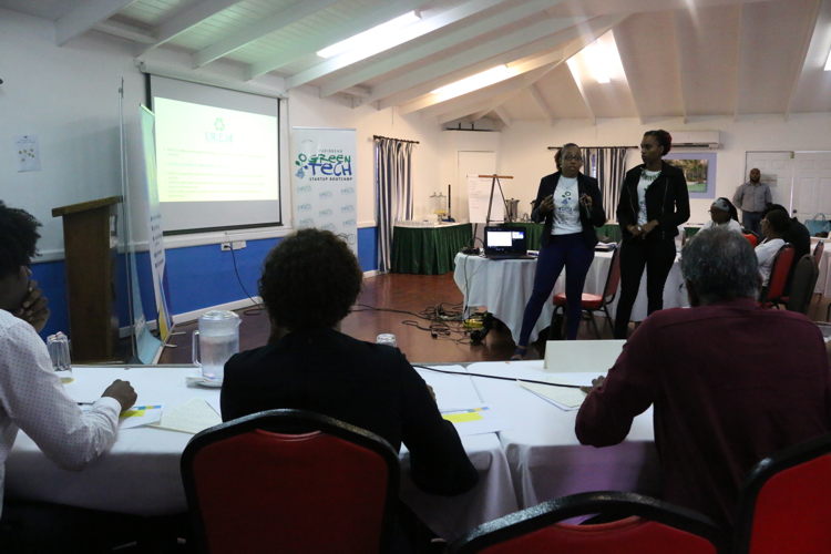 Partcipants make pitch presentations to the 