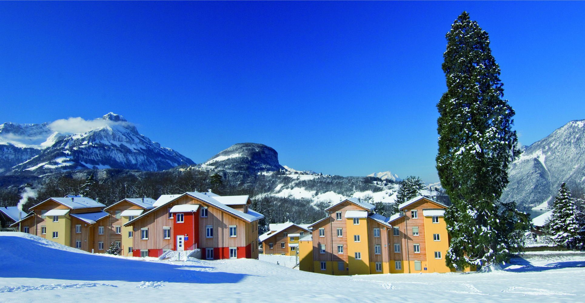 Parkansicht Landal Vierwaldst&auml;ttersee