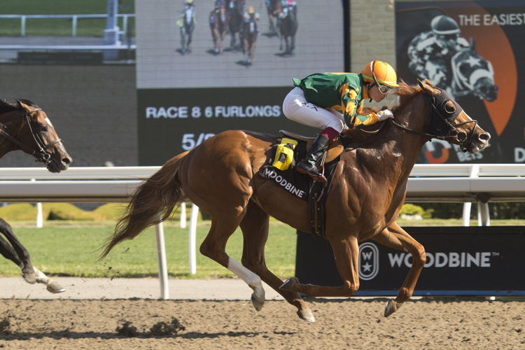 Arzak winning the Gr. 3 Jacques Cartier on May 15. (Michael Burns photo) Arzak winning the Gr. 3 Jacques Cartier on May 15. (Michael Burns photo)