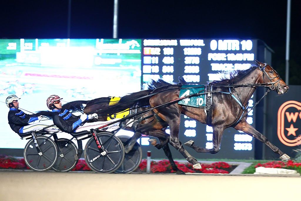 Winners Bet winning the William Wellwood Memorial. (New Image Media)