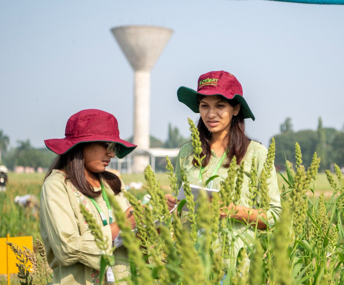 Participants examining the barnyard millet germplasm