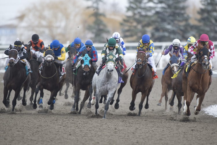 Race 6 on closing day 2022 at Woodbine (Michael Burns Photo)