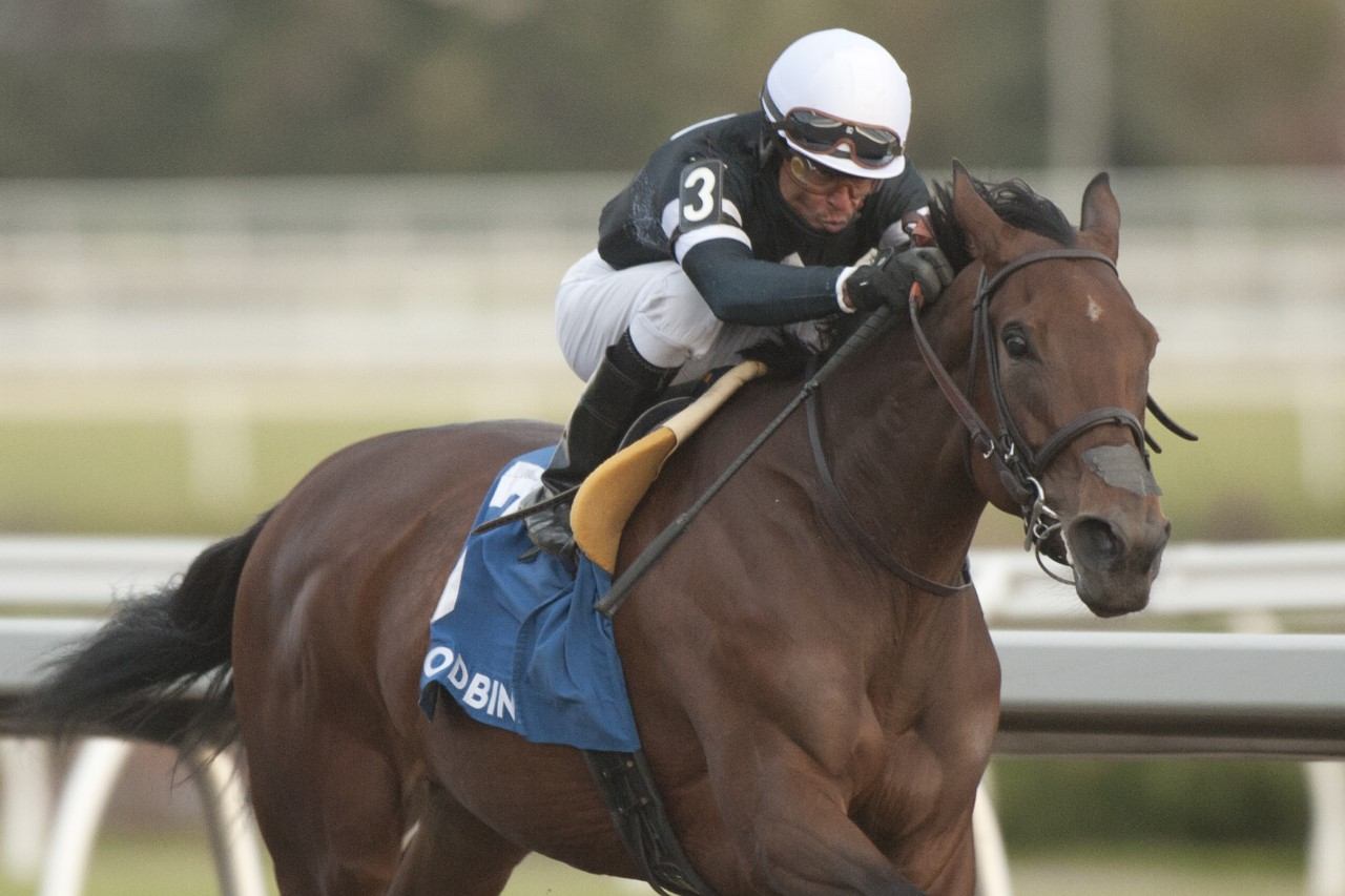 Patrick Husbands teams up with Stargaze to capture the Grade 3 Maple Leaf Stakes at Woodbine. (Michael Burns Photo)