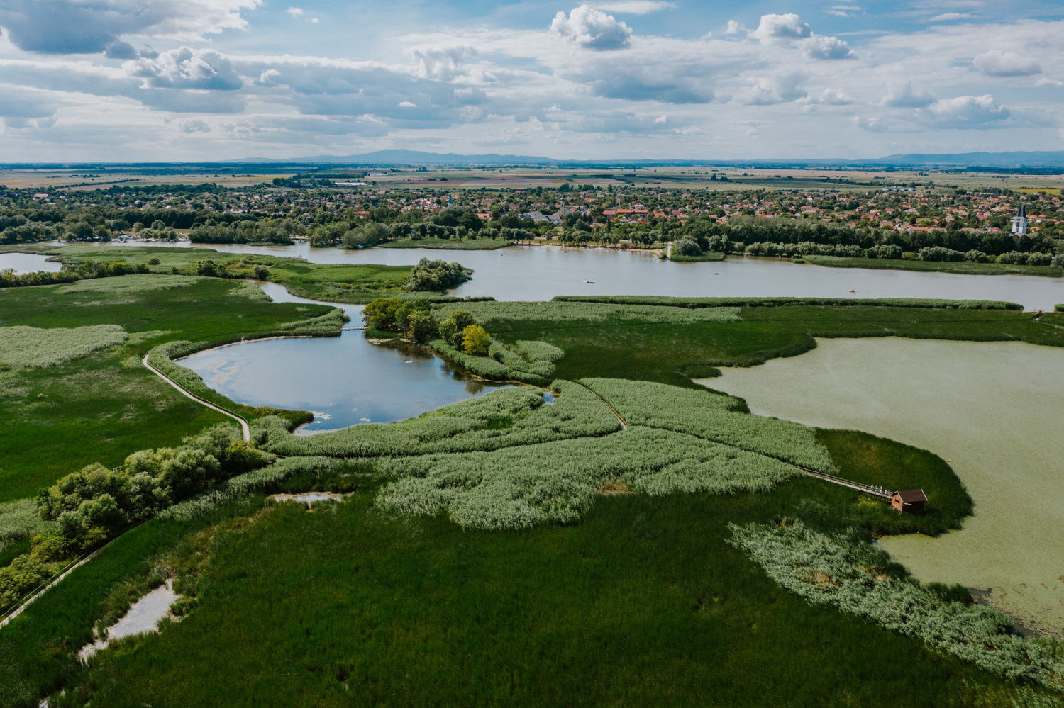Du lac Tisza