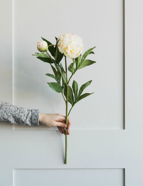 Faux White Double Peony Stem