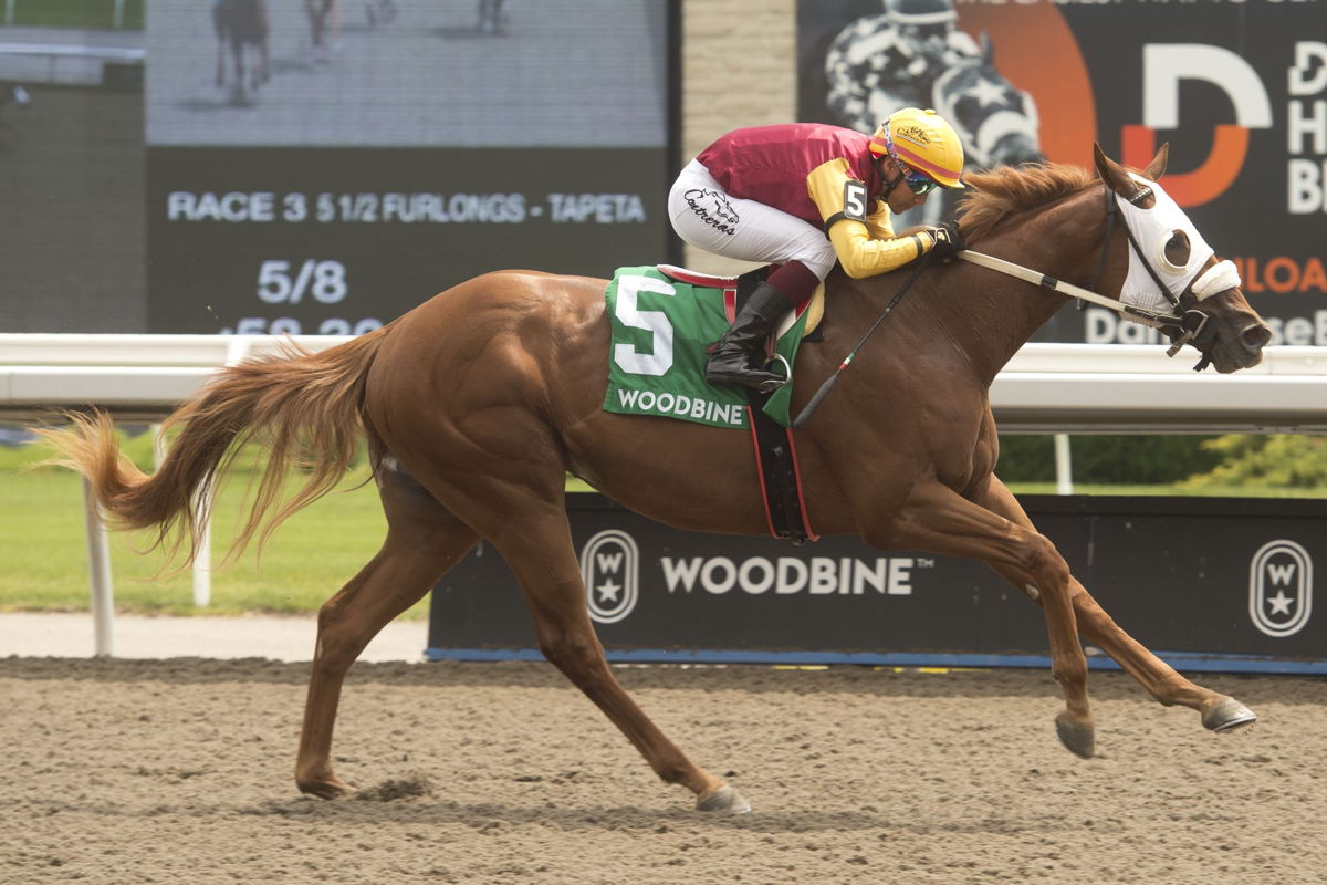 Poulin in O T winning the Victoria Stakes in July at Woodbine Racetrack. (Michael Burns Photo)