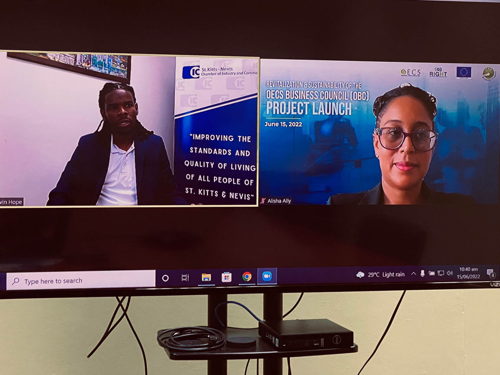 Kevin Hope (St. Kitts and Nevis) represented the OECS Private Sector as an integral partner to the transformation agenda being proposed under this project. Kevin Hope (St. Kitts and Nevis) represented the OECS Private Sector as an integral partner to the transformation agenda being proposed under this project.