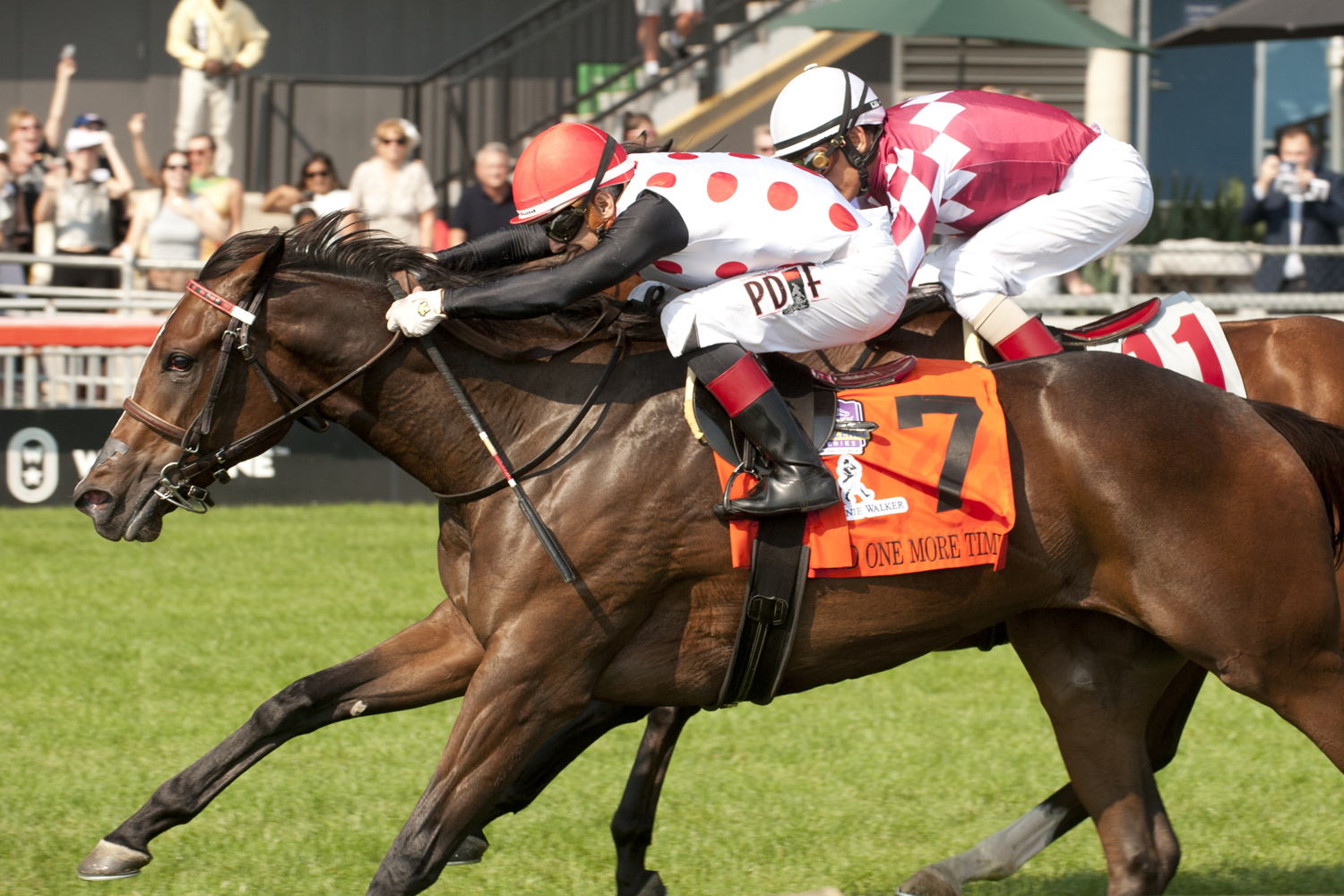 And One More Time and jockey Rafael Hernandez winning the Johnnie Walker Natalma Stakes (G1) on September 14, 2024 at Woodbine (Michael Burns Photo)