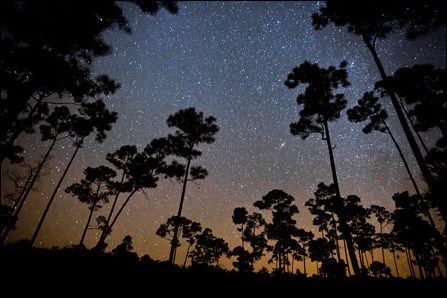 Everglades National Park, Florida.