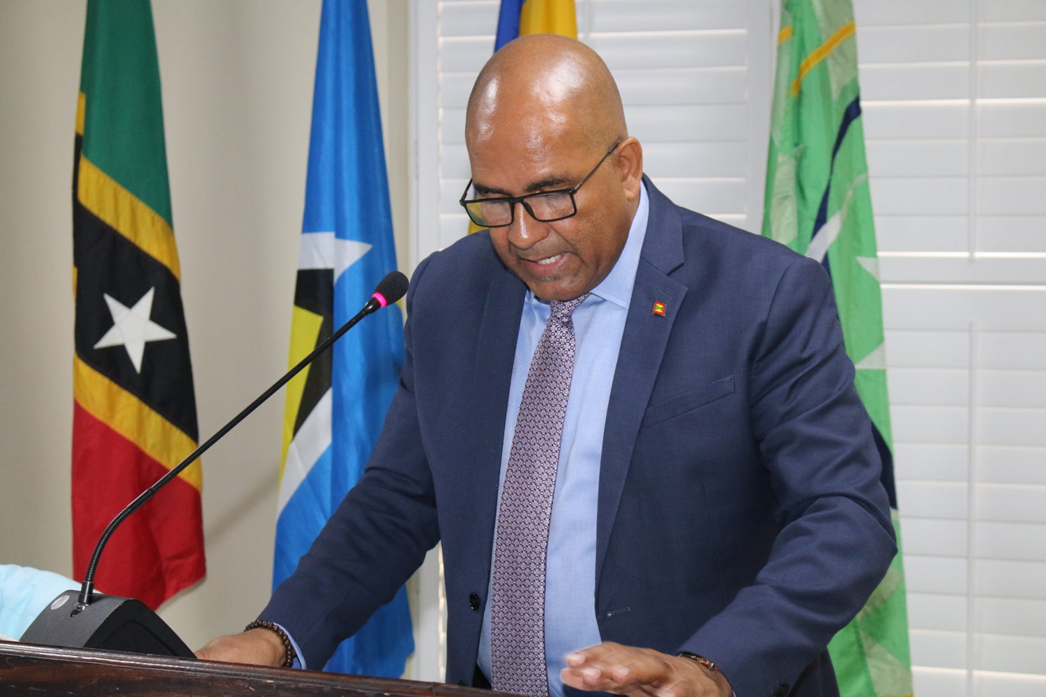 Incoming Chair, Foreign Affairs Minister Hon. Peter David of Grenada, addresses the gathering.