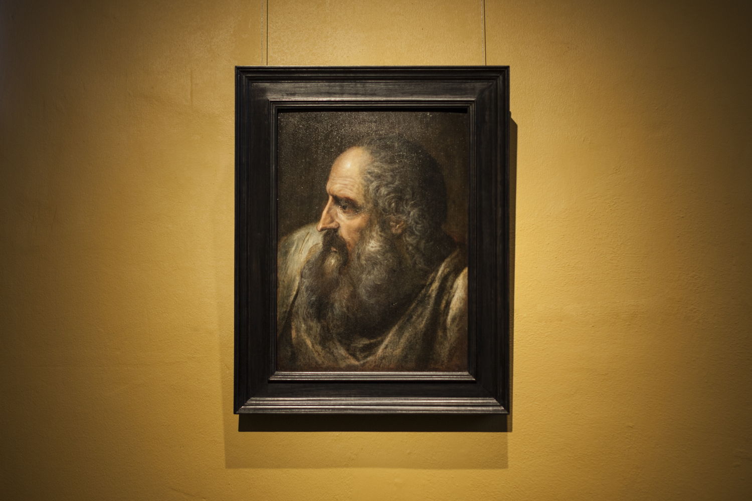 Frans Floris, Studiekop, bruikleen, particuliere verzameling, foto Ans Brys.jpg