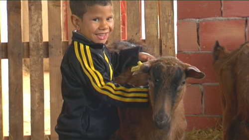 Karrewiet in Marokko - aflevering 3 (7.4) : de geitenboerderij - (c) VRT Karrewiet in Marokko - aflevering 3 (7.4) : de geitenboerderij - (c) VRT