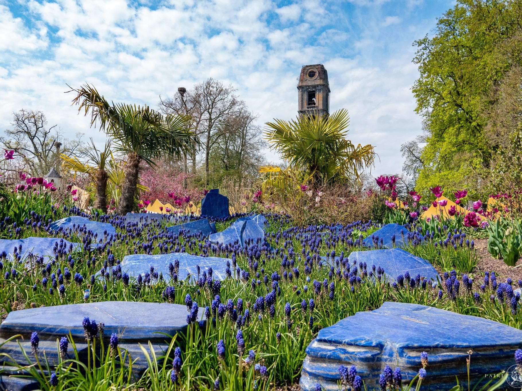 Pairi Daiza: 'Floral Dreams', bloemenpracht net over de taalgrens
