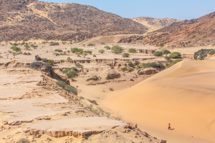 Namibia Inspiration