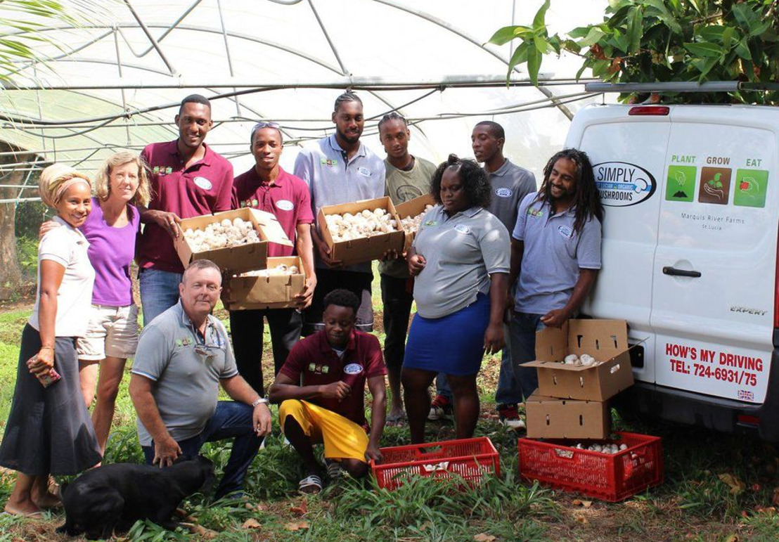 The Caribbean's Only Youth-Owned Mushroom Farm Provides A Model For Business Success In Agriculture
