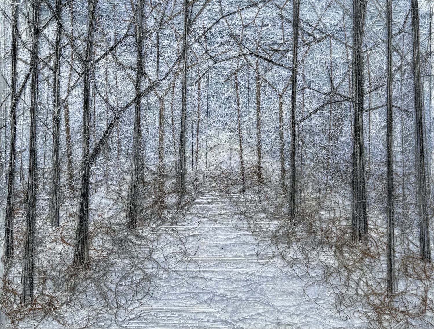 Winter Trees - Geul