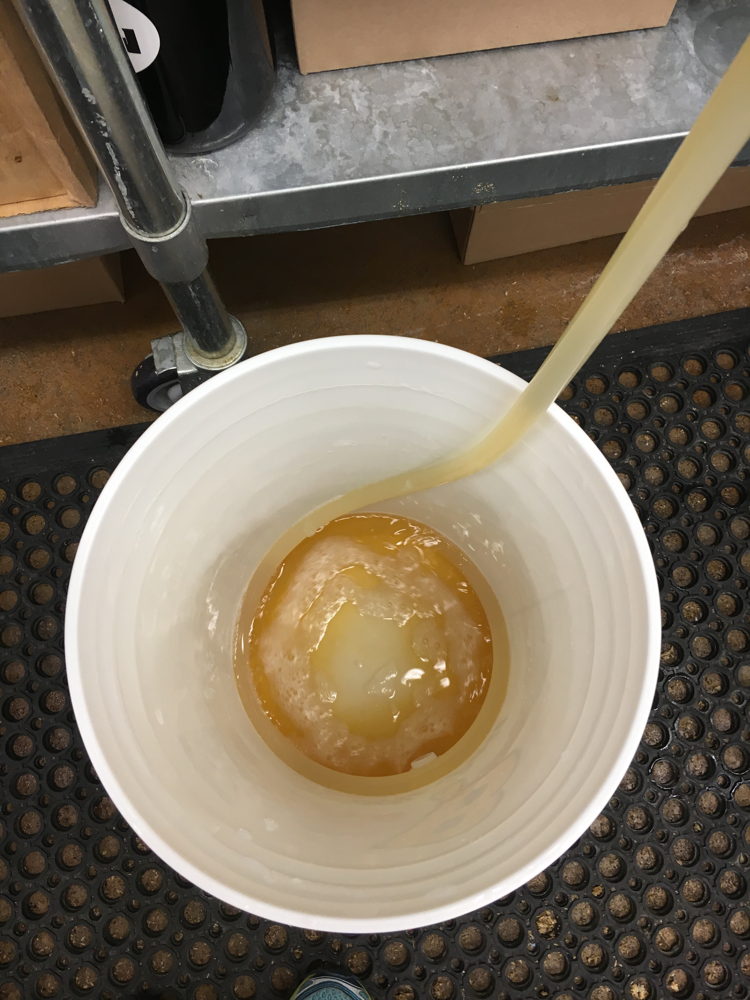 Transferring the Worth the Wait Cantaloupe Gose into the bottling bucket; priming sugar is added during this step.