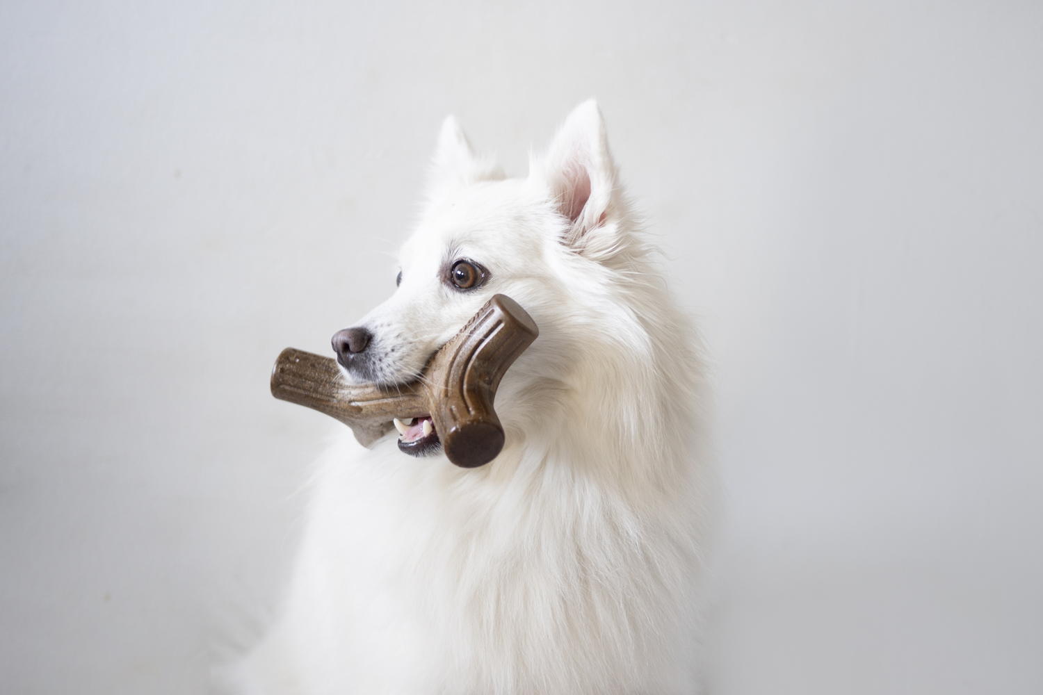 Benebone Maplestick