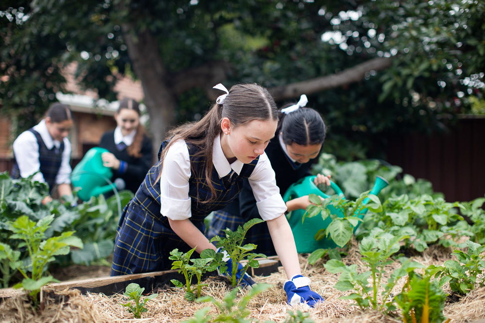 Loreto Normanhurst students gardening in their cAgriculture Lab