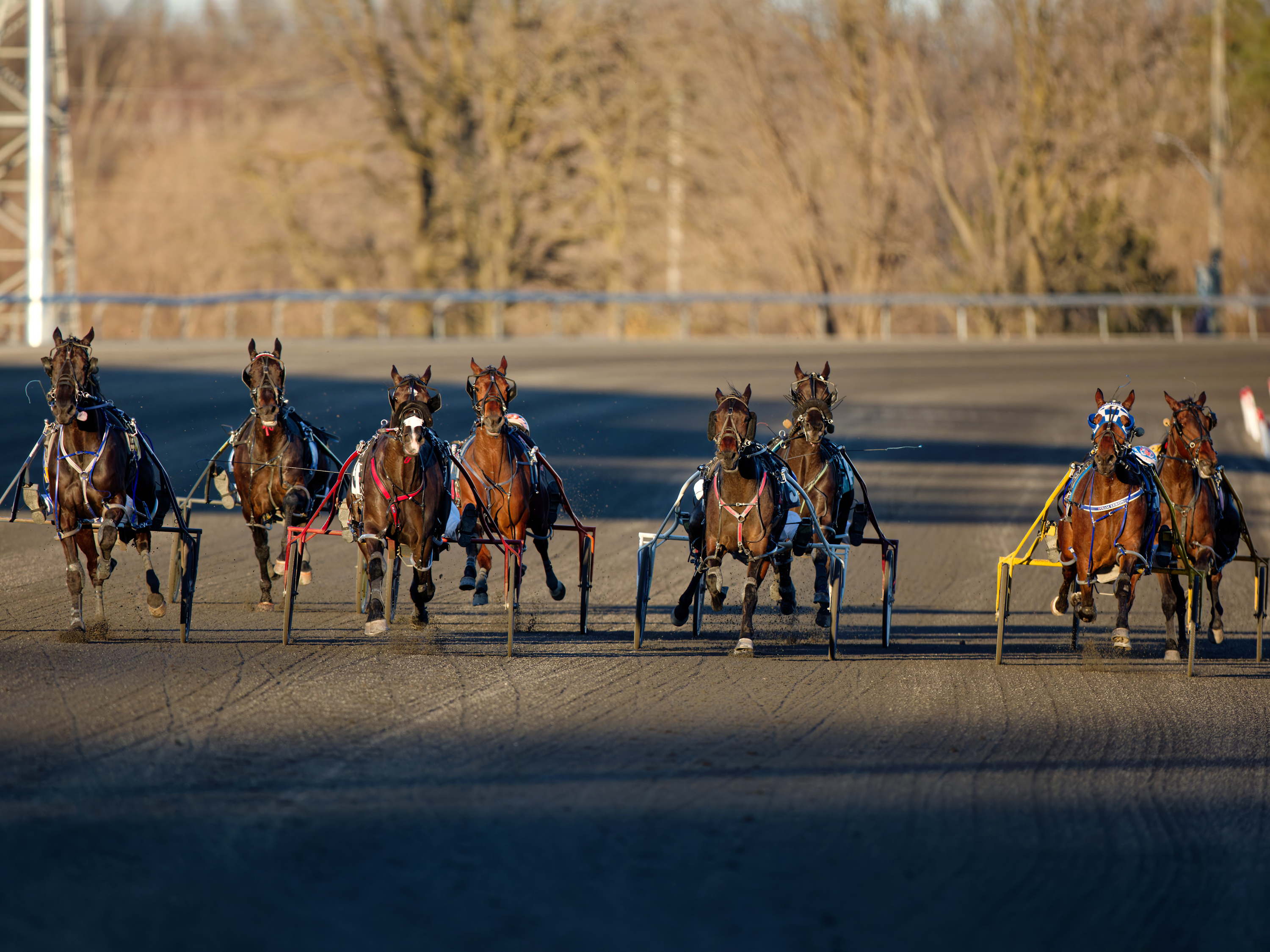 Woodbine Mohawk Park adds Pop-Up Series