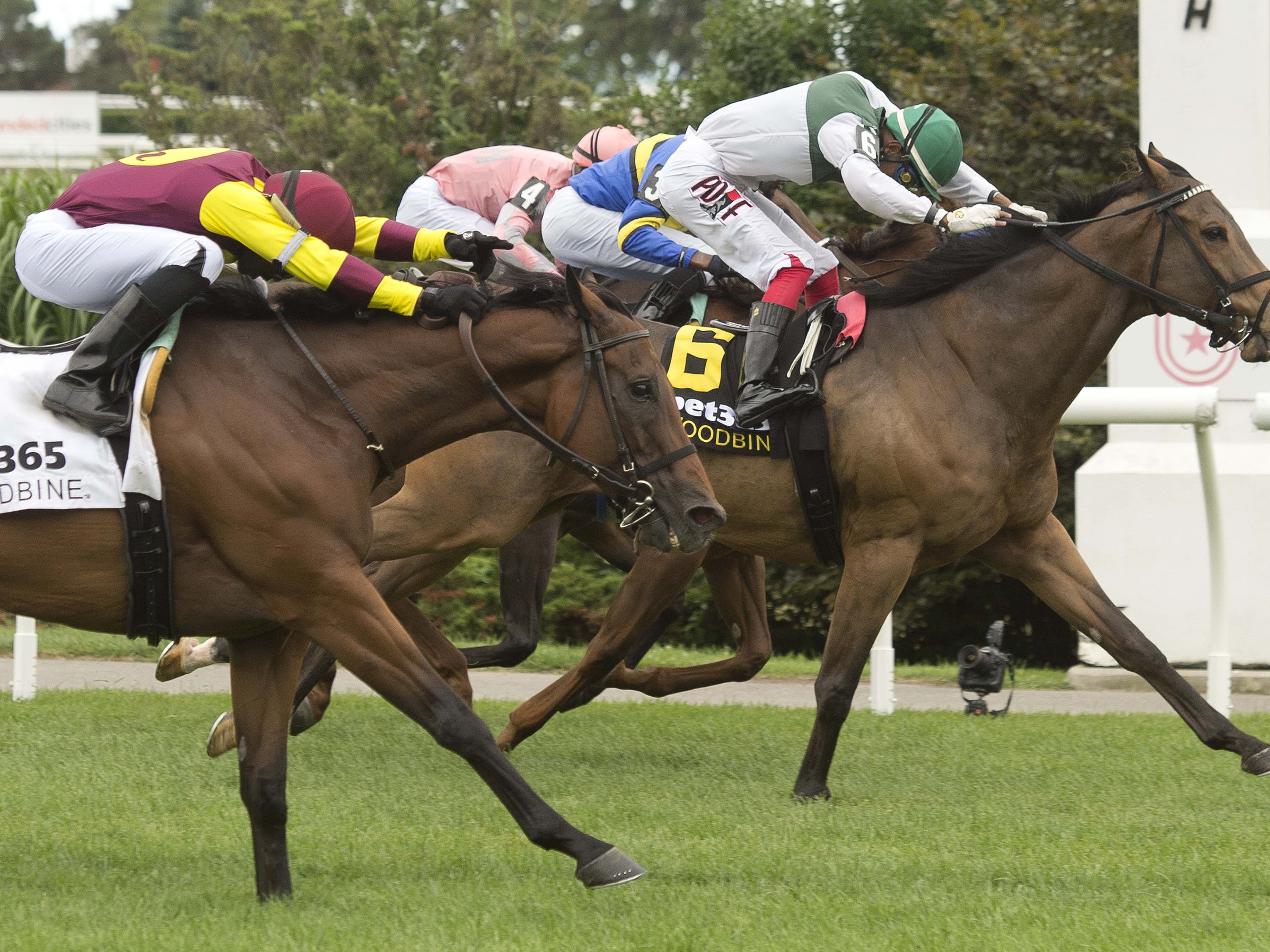 Artemus Citylimits springs the upset in Vice Regent