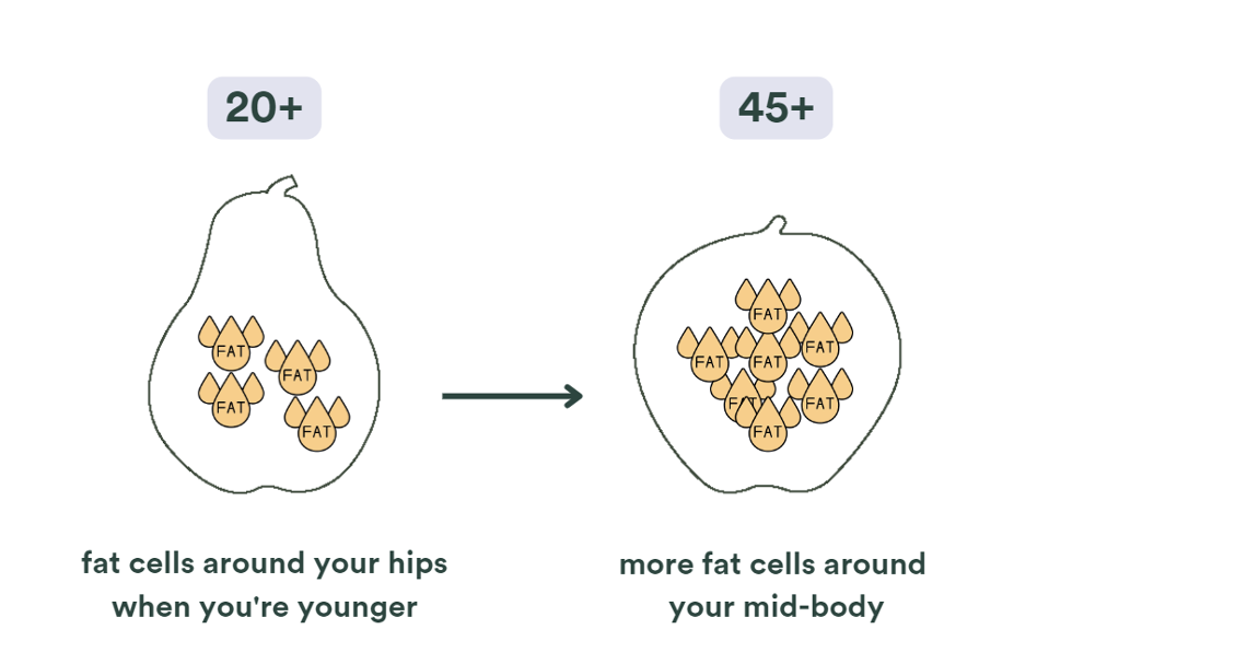 Illustration 5 : changement de la répartition de graisse à partir de 45 ans (périménopause)
