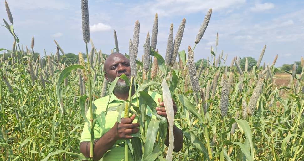 Seeds of Hope: Overcoming Zimbabwe's Drought Crisis with Community-led Innovation
