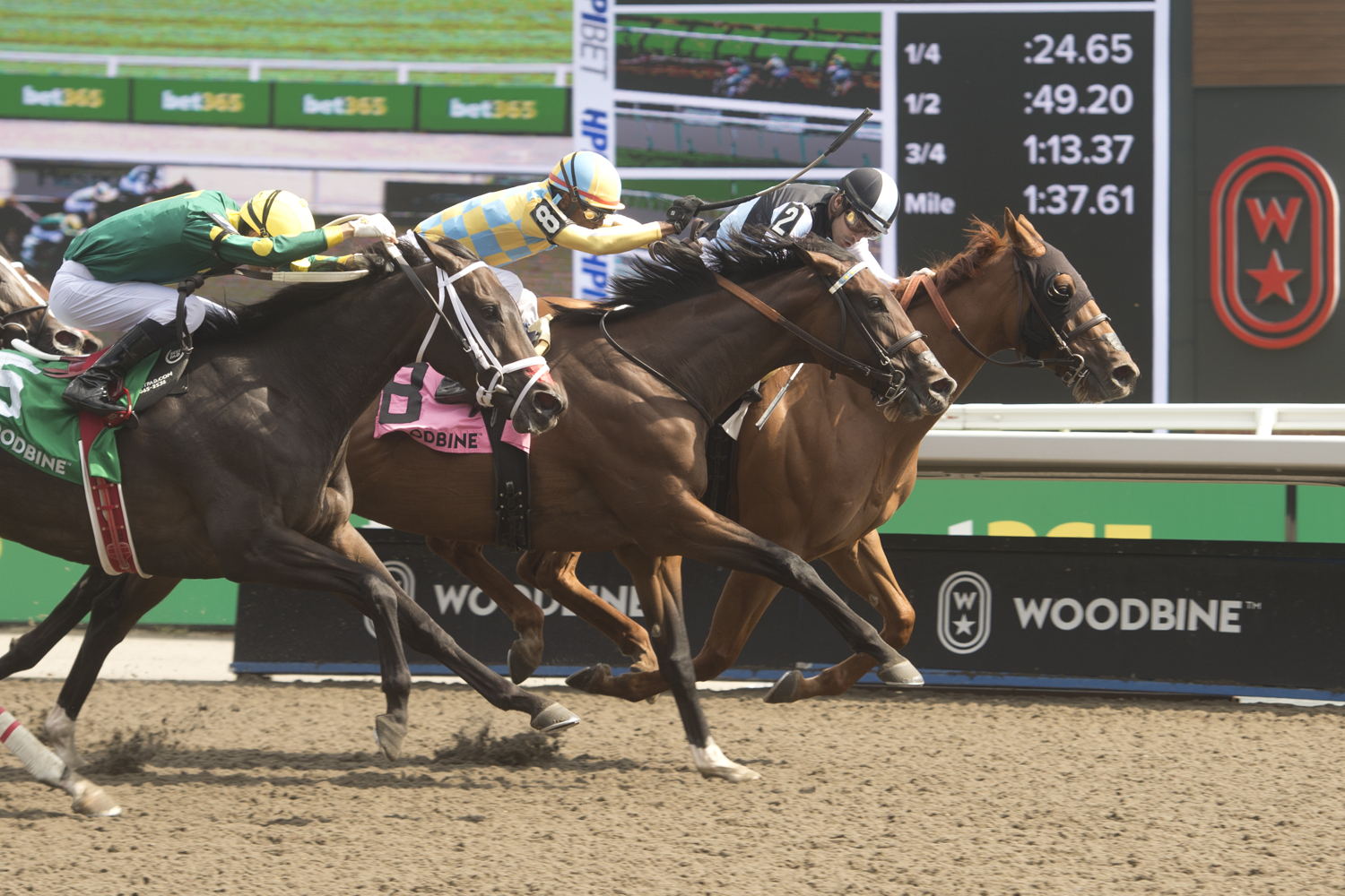 Solo Album and jockey Sahin Civaci winning the Trillium Stakes Presented by Don Julio (G3) on July 20, 2024 at Woodbine (Michael Burns Photo)