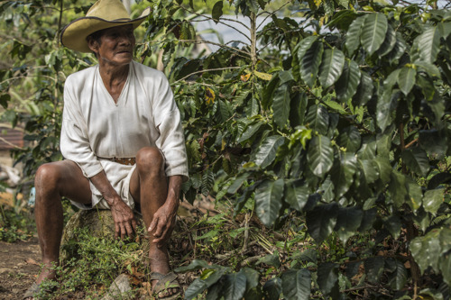 Conoce el primer carajillo mexicano elaborado con café de altura