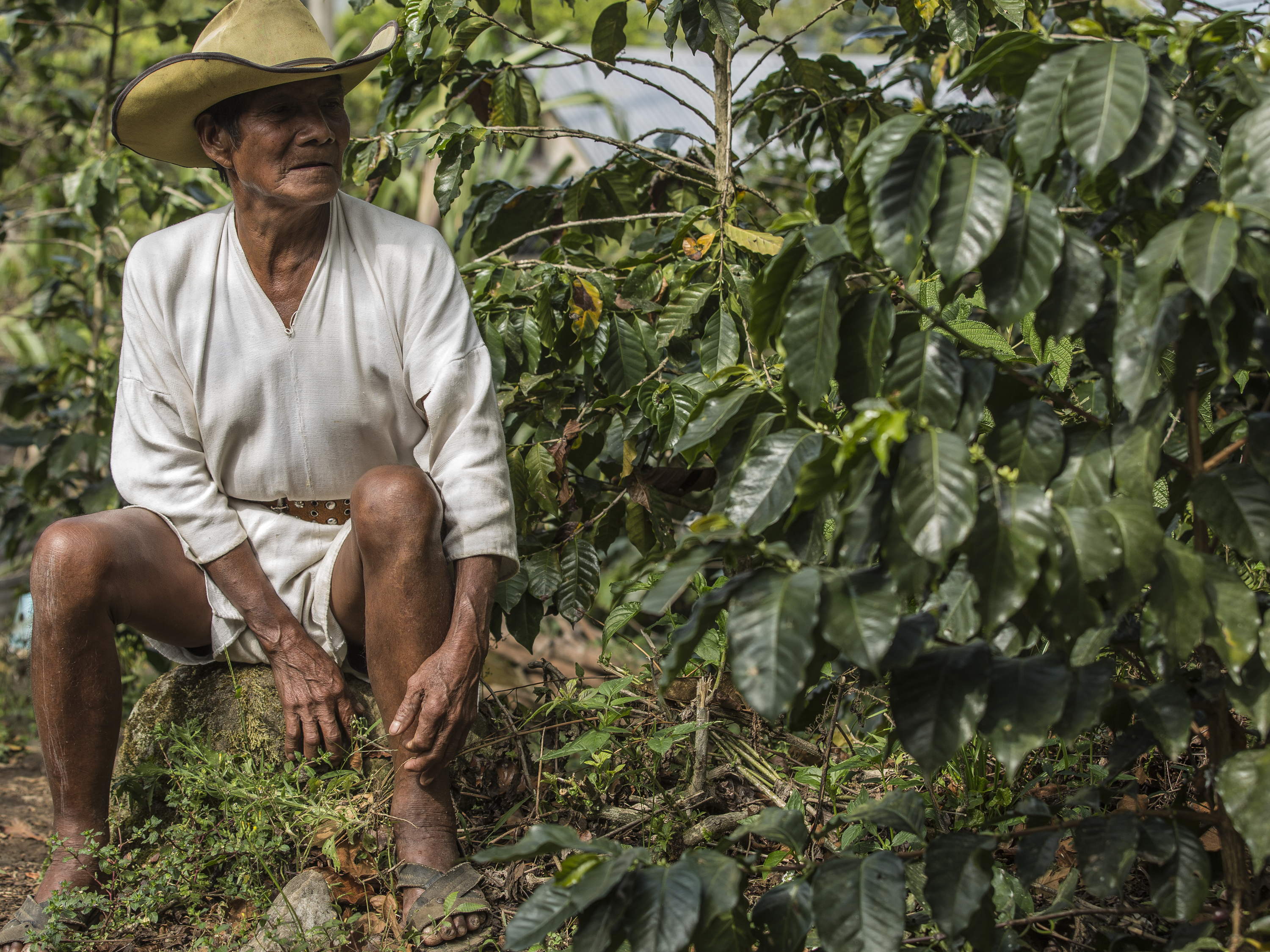 Conoce el primer carajillo mexicano elaborado con café de altura