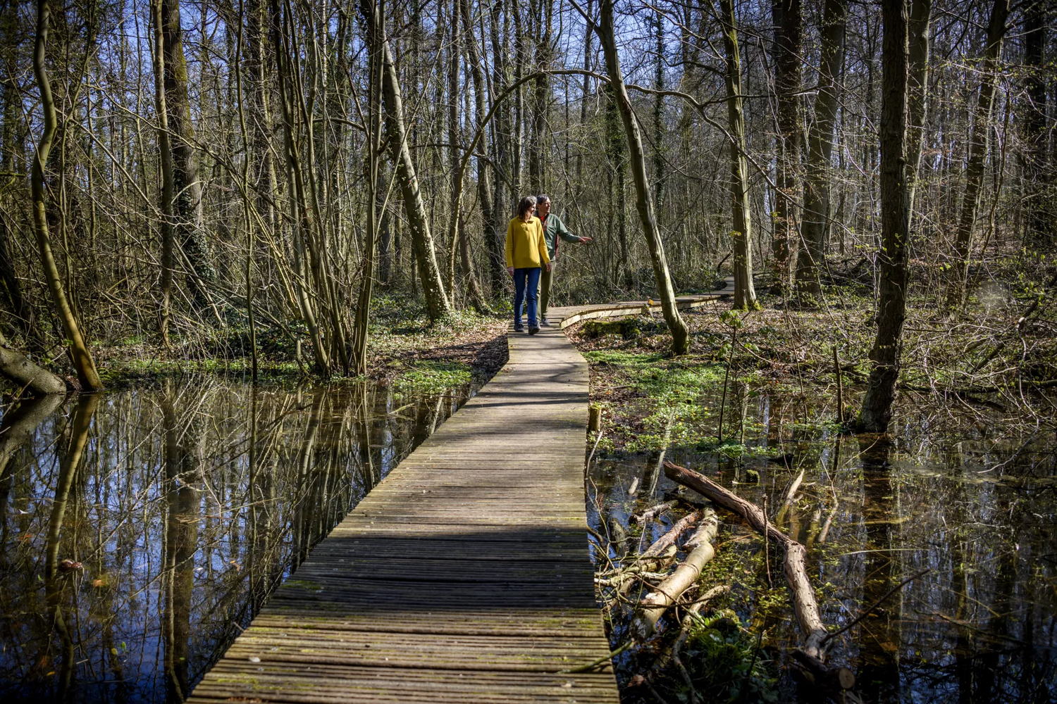Big Bang route in het Heverleebos - © Lander Loeckx