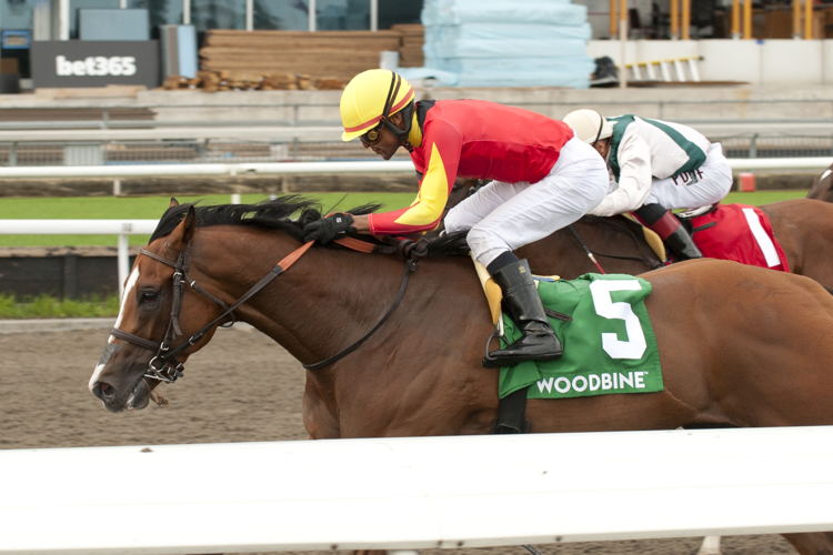 Essex Serpent and jockey Patrick Husbands winning the HPIbet Marine Stakes (G3) on June 29, 2023 (Michael Burns Photo)