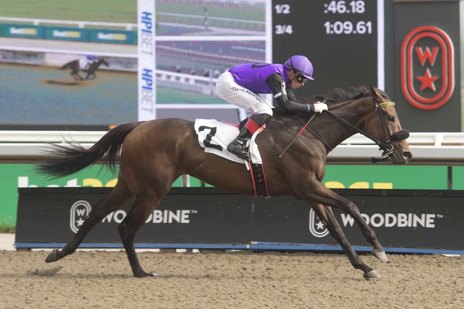 Owen's Tour Guide and jockey Ryan Munger winning Race 8 on May 25, 2024 at Woodbine (Michael Burns Photo)
