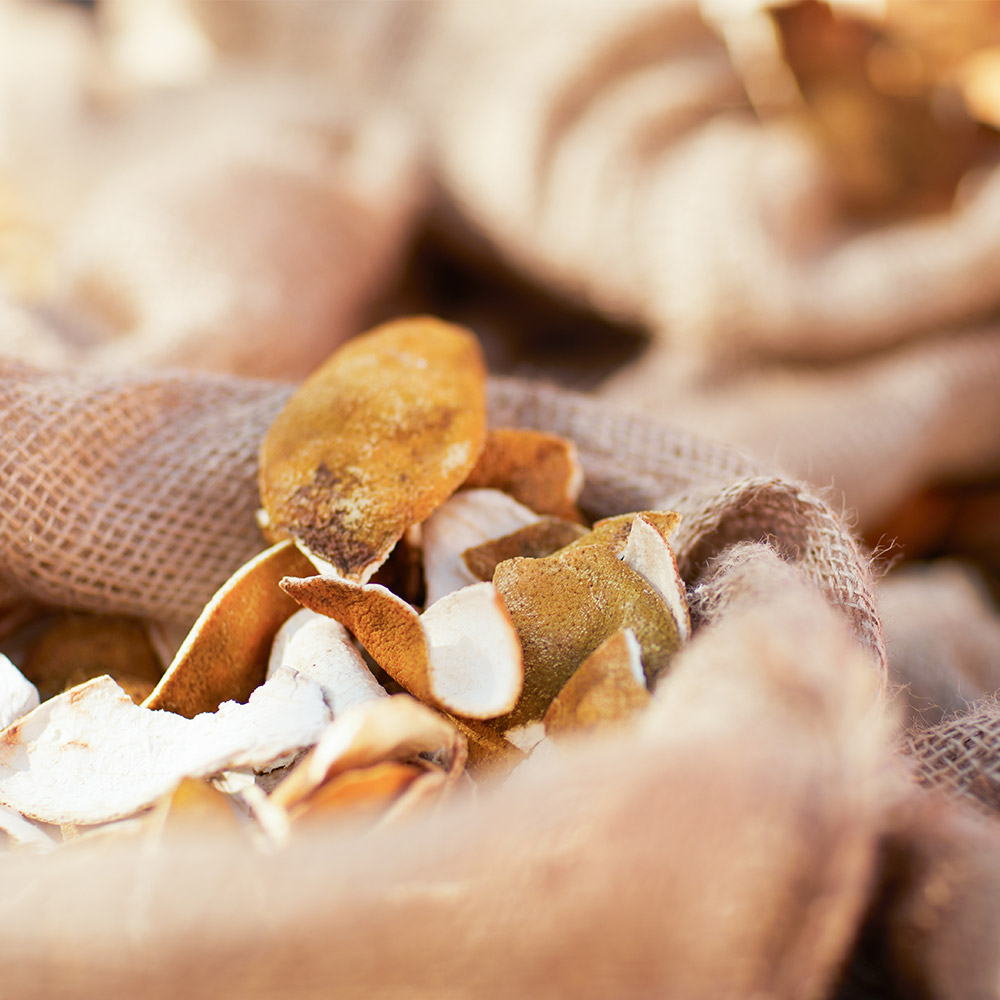 Time - Cointreau orange peels